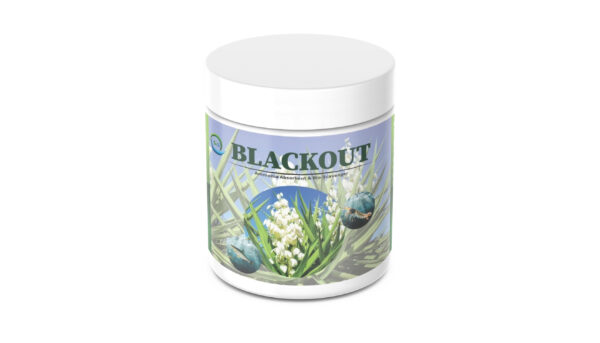 BLACKOUT