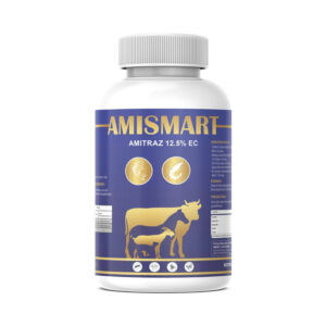 AMISMART