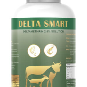 DELTASMART